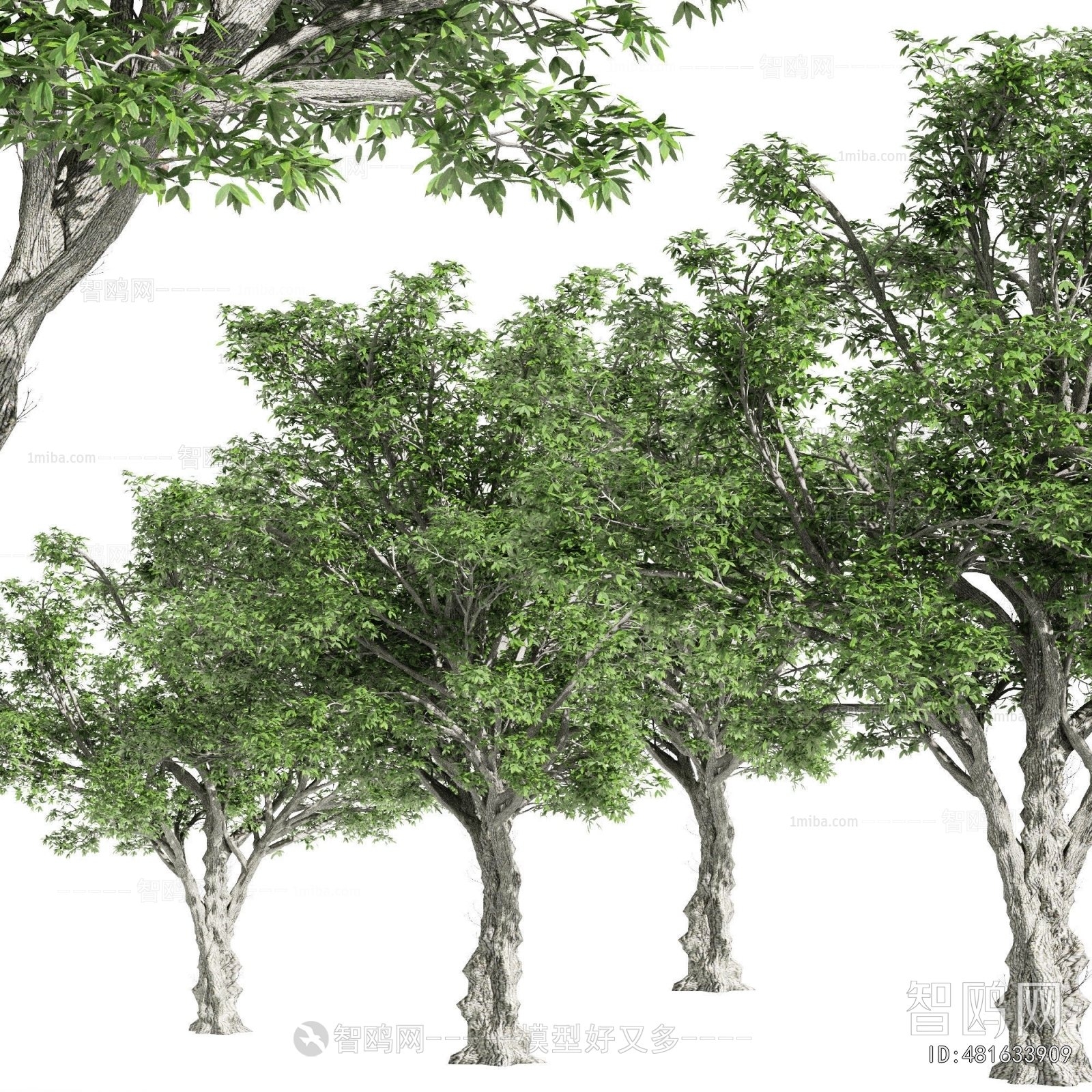 Modern Tree