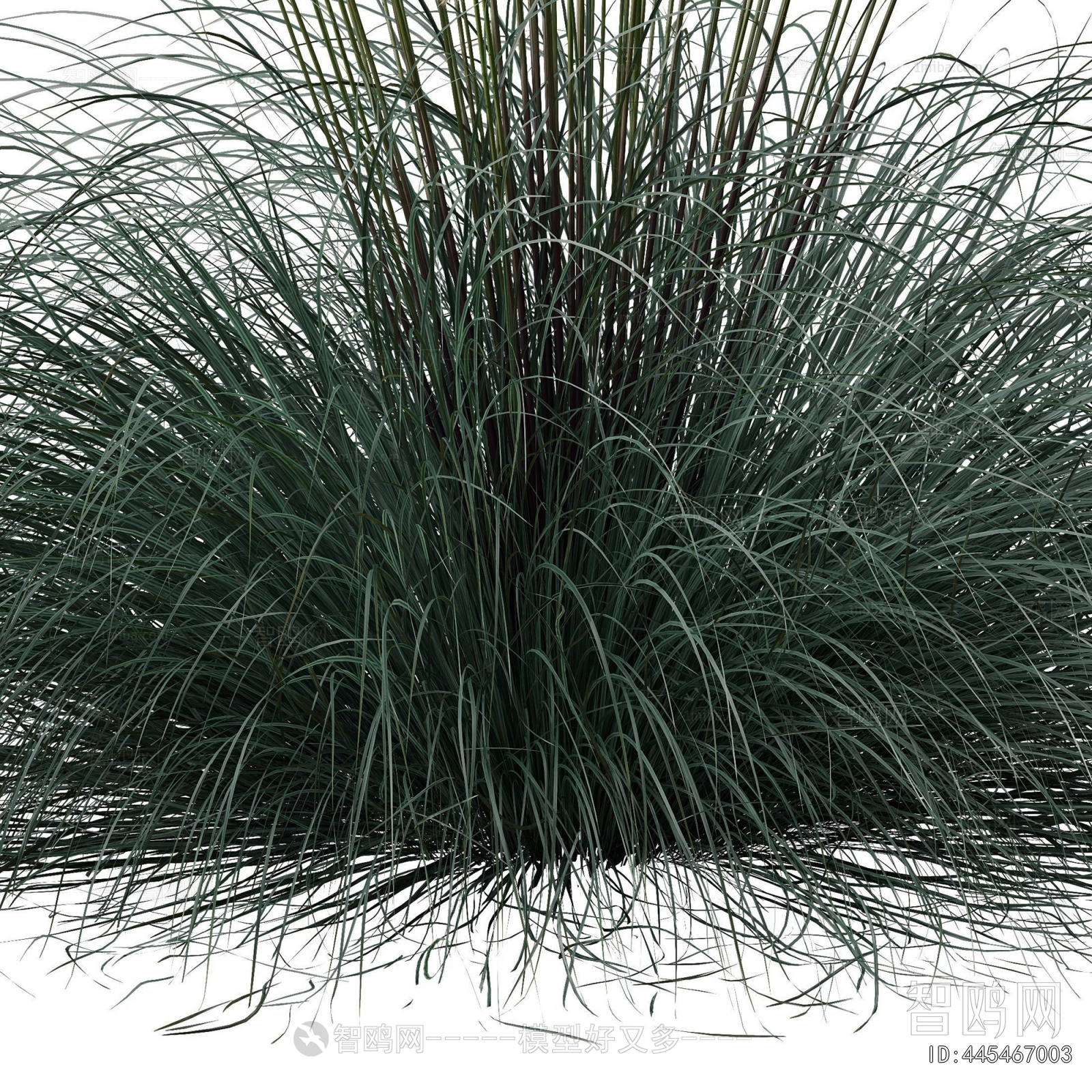 Modern Flowers And Grass