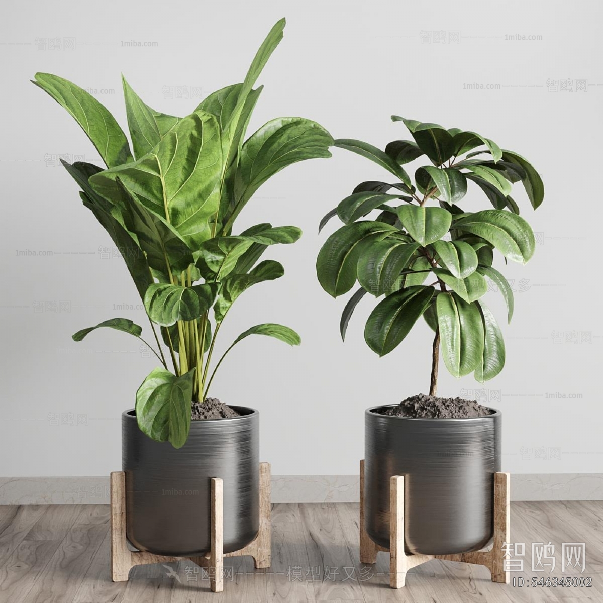 Modern Ground Green Plant Potted Plants