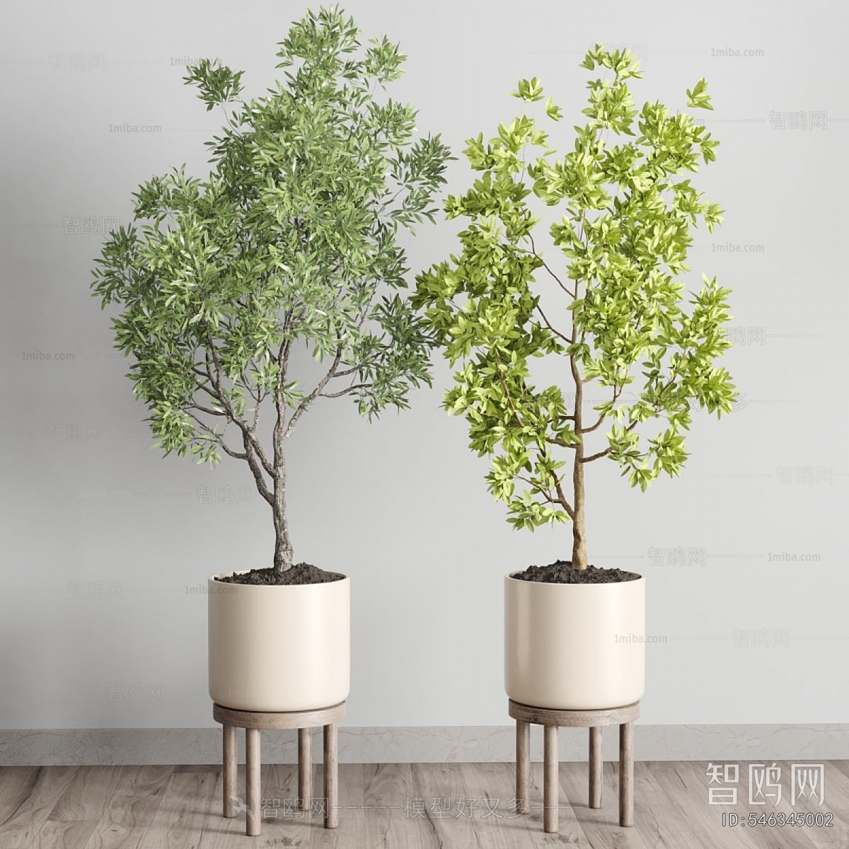 Modern Ground Green Plant Potted Plants