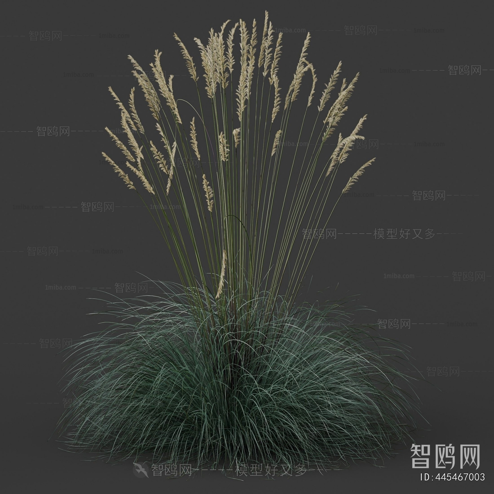 Modern Flowers And Grass