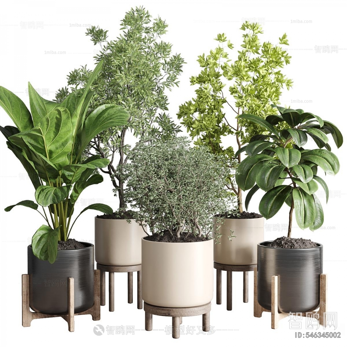 Modern Ground Green Plant Potted Plants