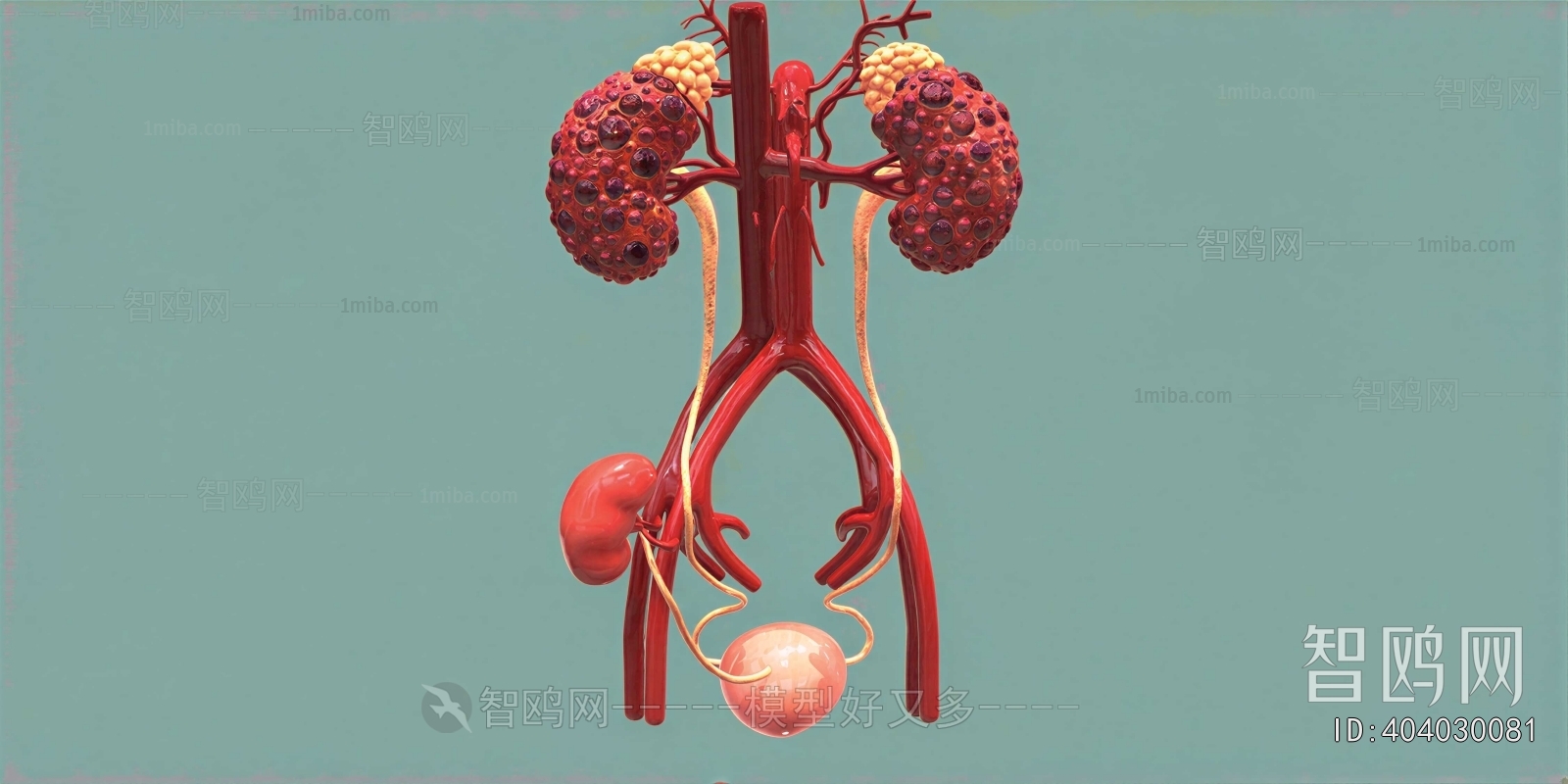 Modern Medical Equipment