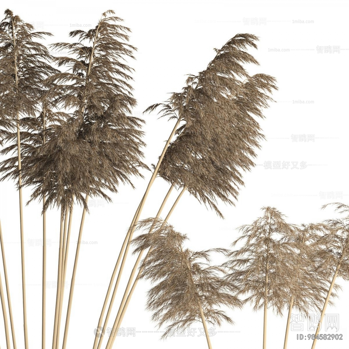 Modern Dried Branch