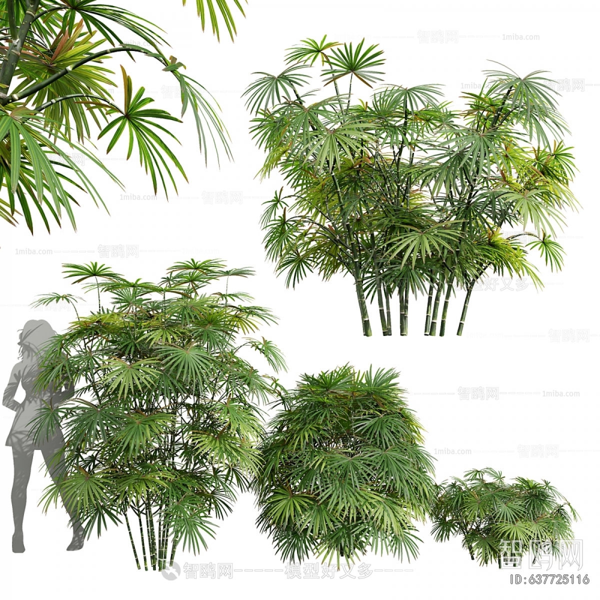Modern Plant Pile