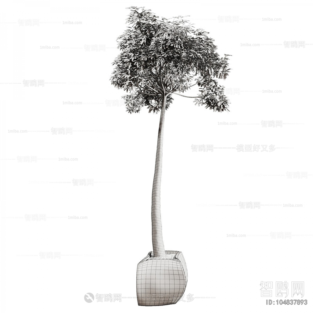 Modern Ground Green Plant Potted Plants