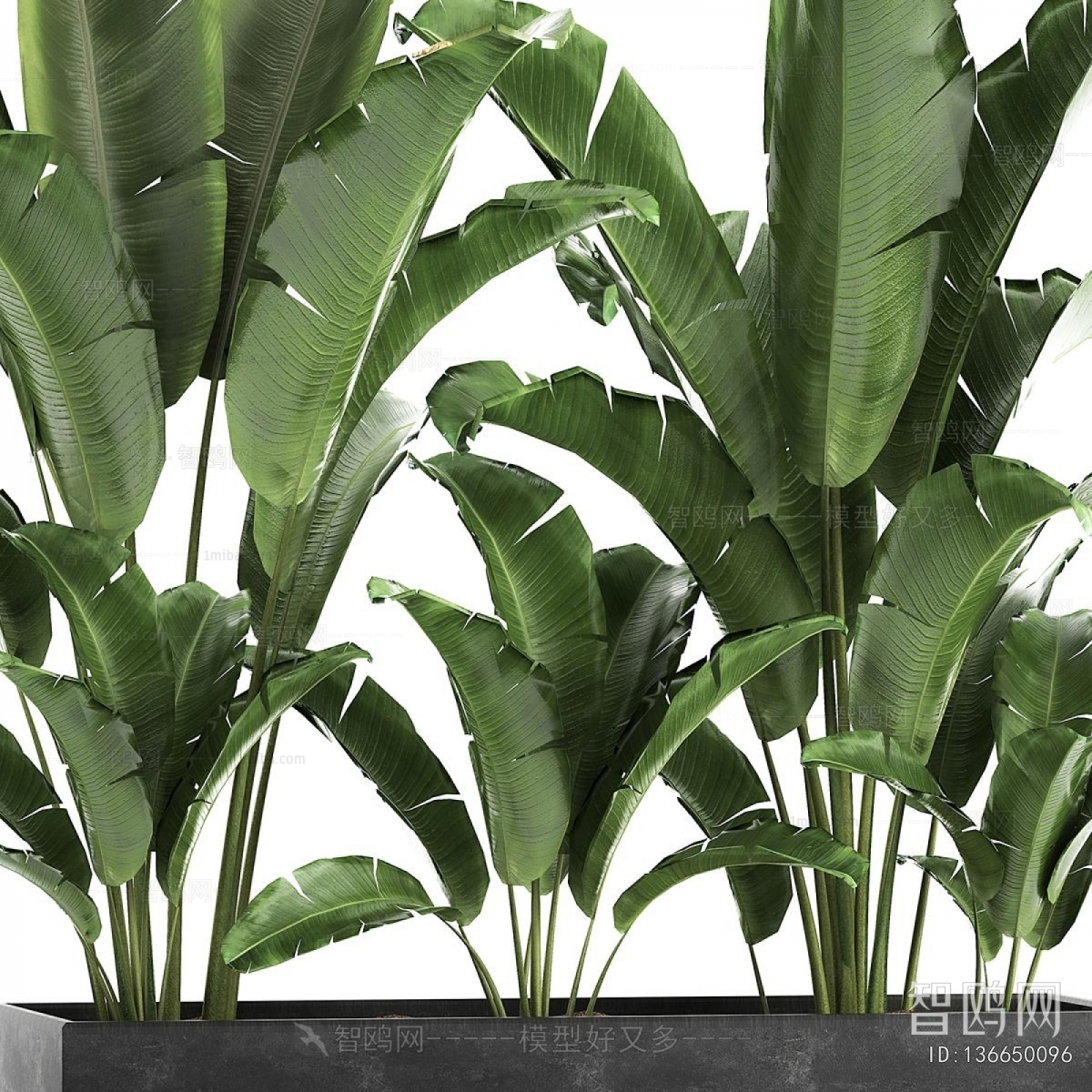 Modern Flower Bed, Flower Bowl, Flower Box