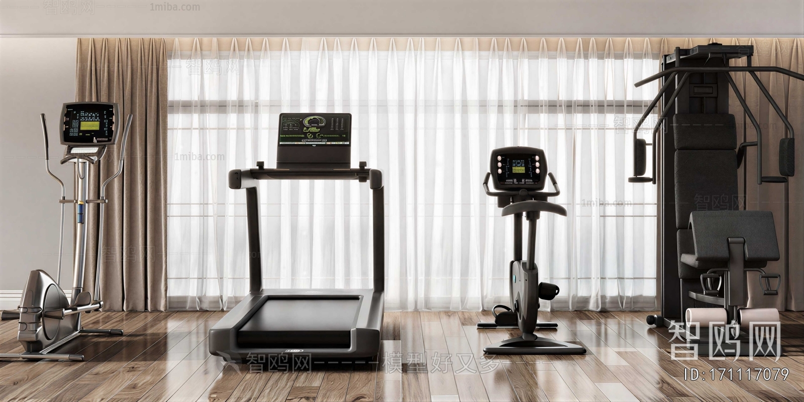 Modern Home Fitness Room