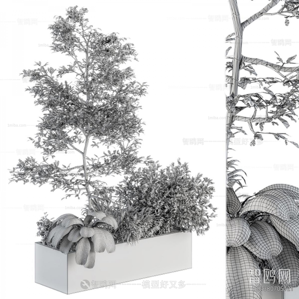 Modern Flower Bed, Flower Bowl, Flower Box