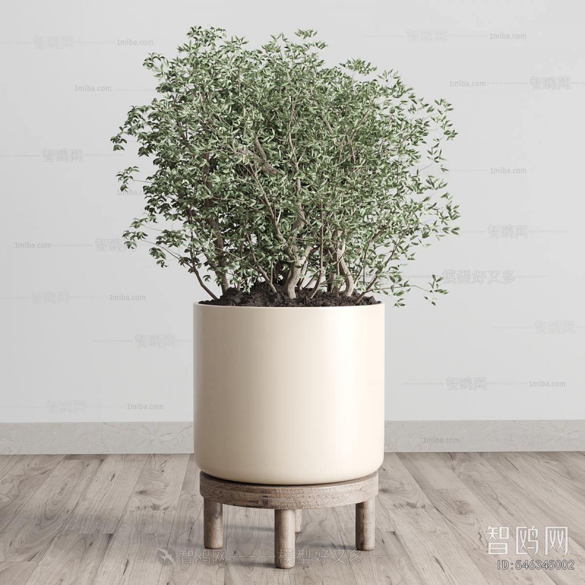 Modern Ground Green Plant Potted Plants
