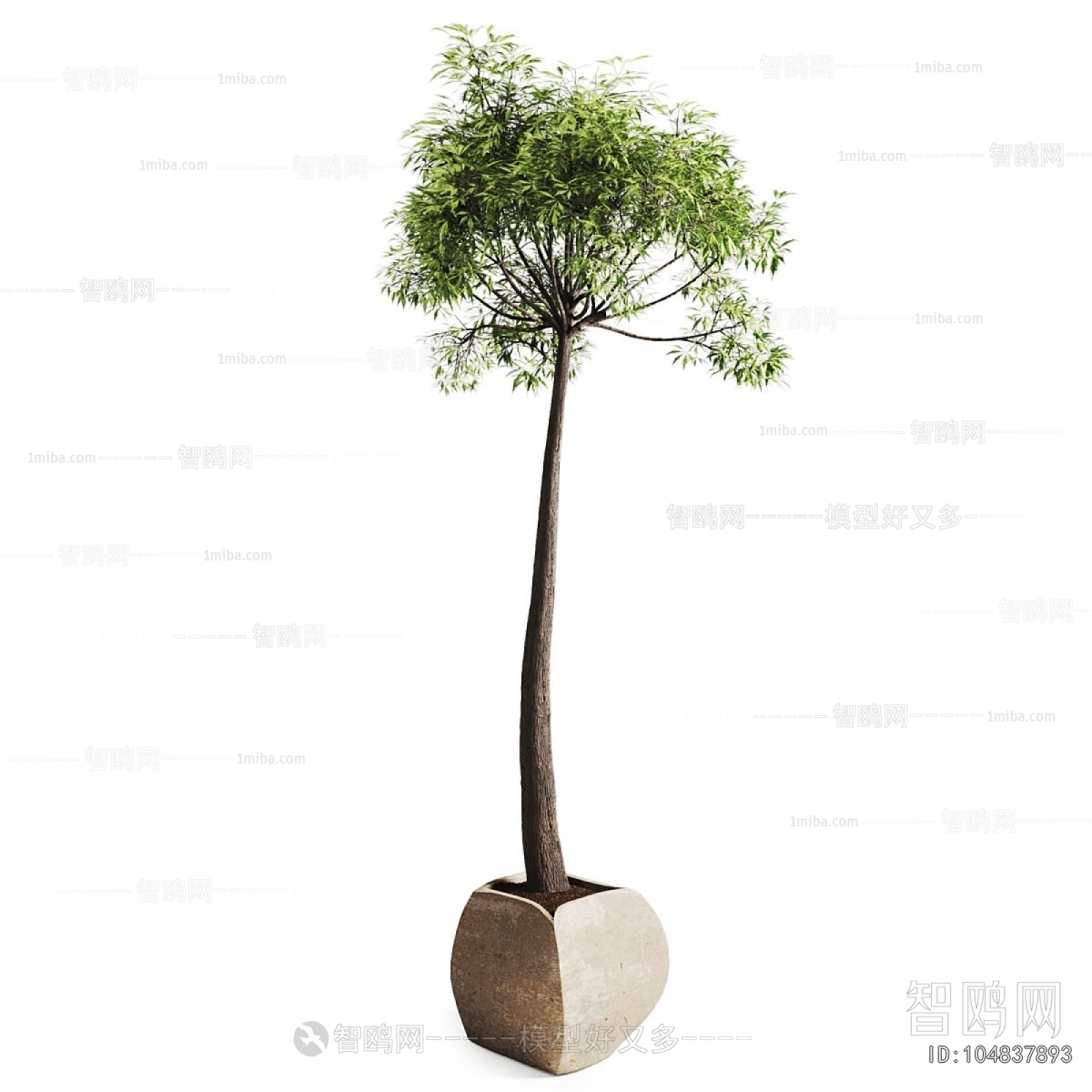 Modern Ground Green Plant Potted Plants