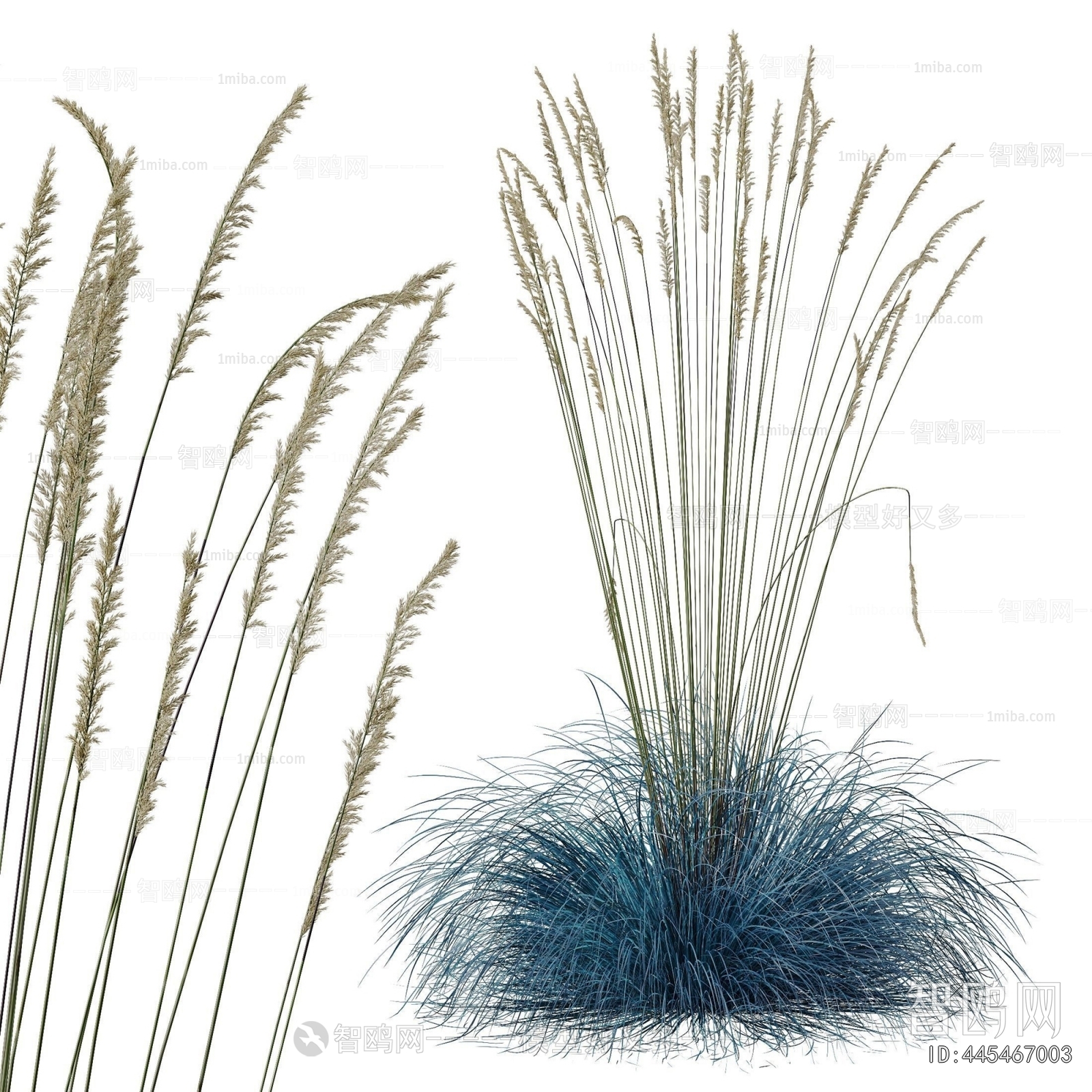 Modern Flowers And Grass