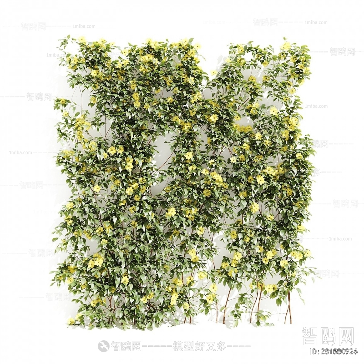 Modern Plant Wall