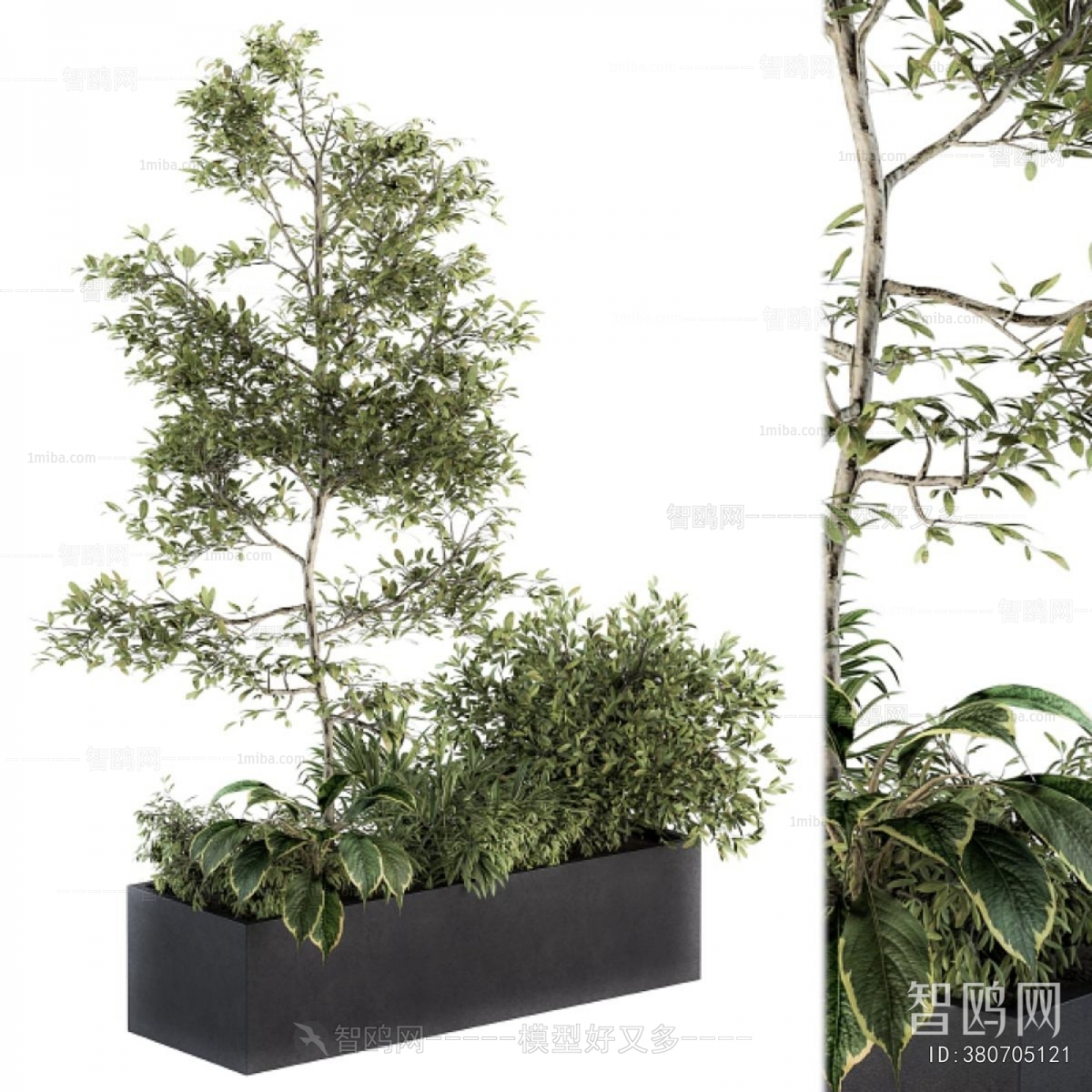 Modern Flower Bed, Flower Bowl, Flower Box