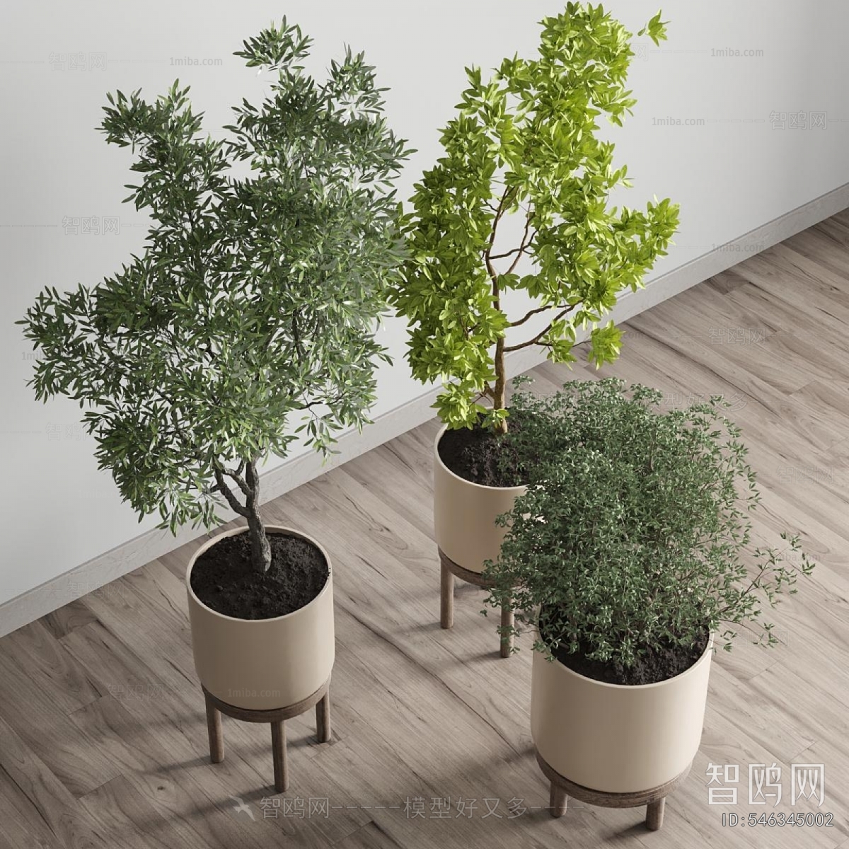 Modern Ground Green Plant Potted Plants