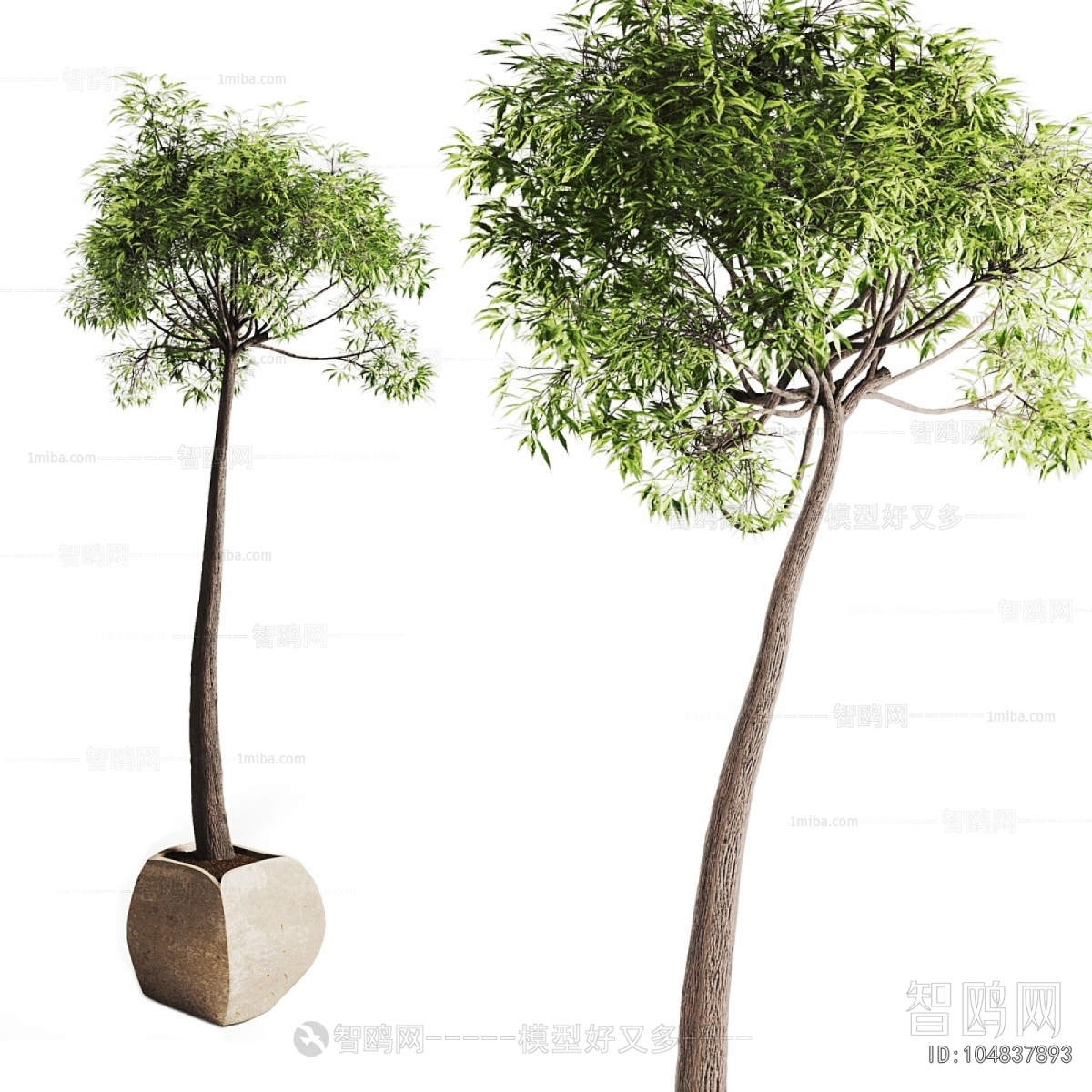 Modern Ground Green Plant Potted Plants