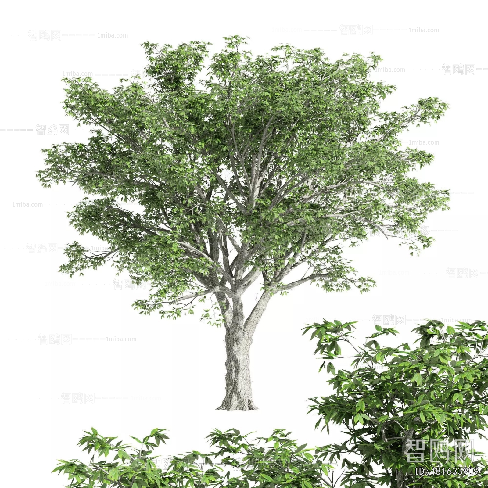 Modern Tree