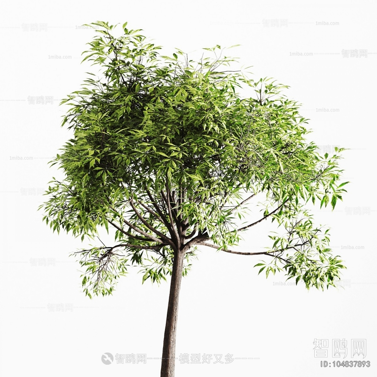 Modern Ground Green Plant Potted Plants