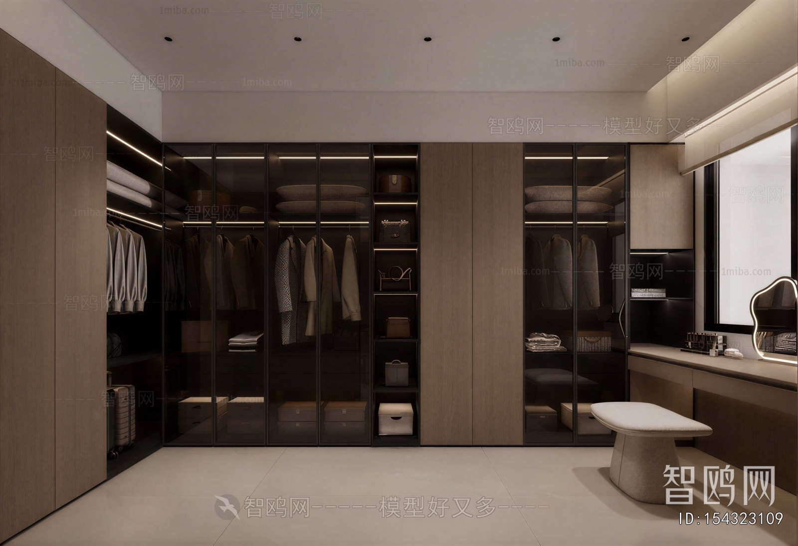 Modern Clothes Storage Area