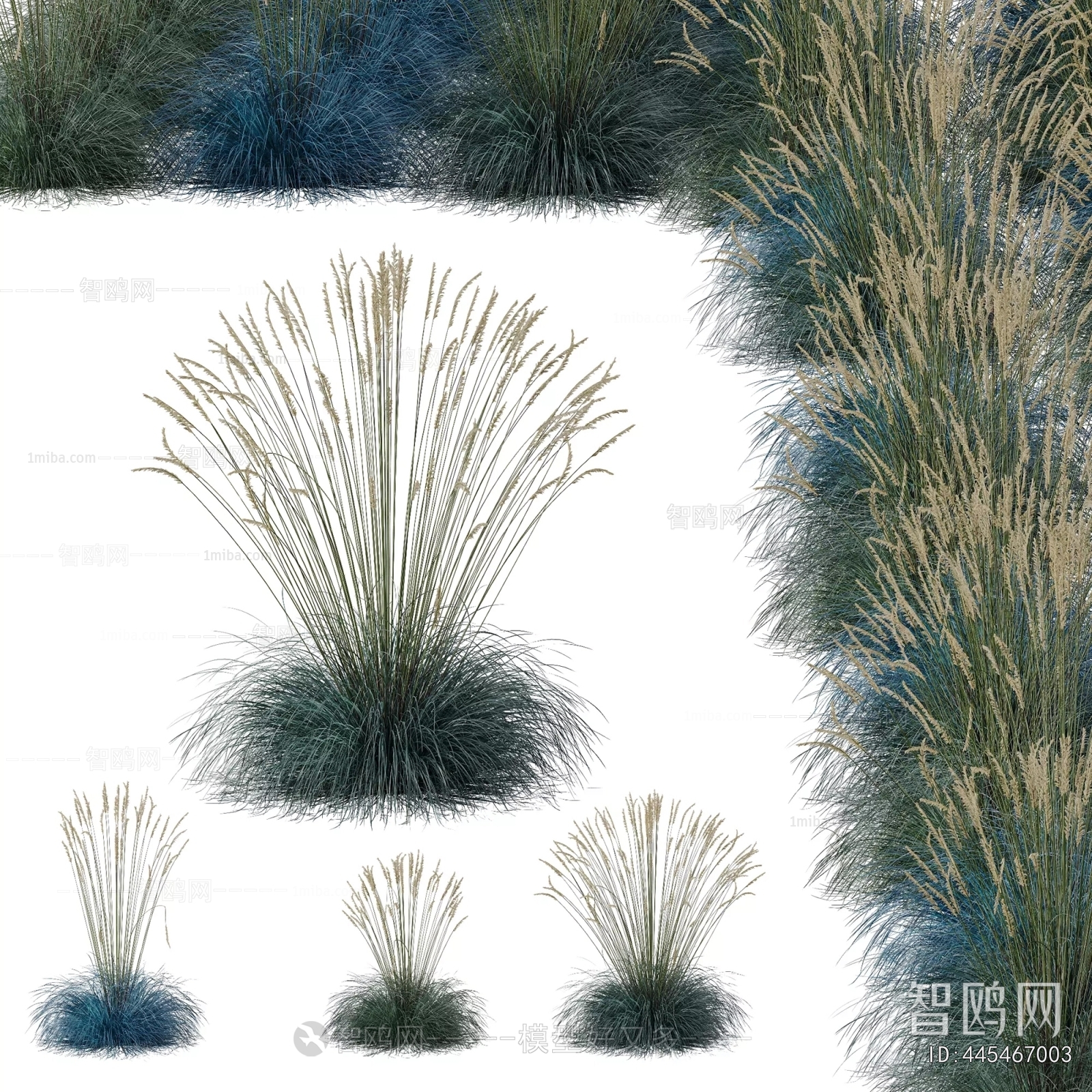 Modern Flowers And Grass