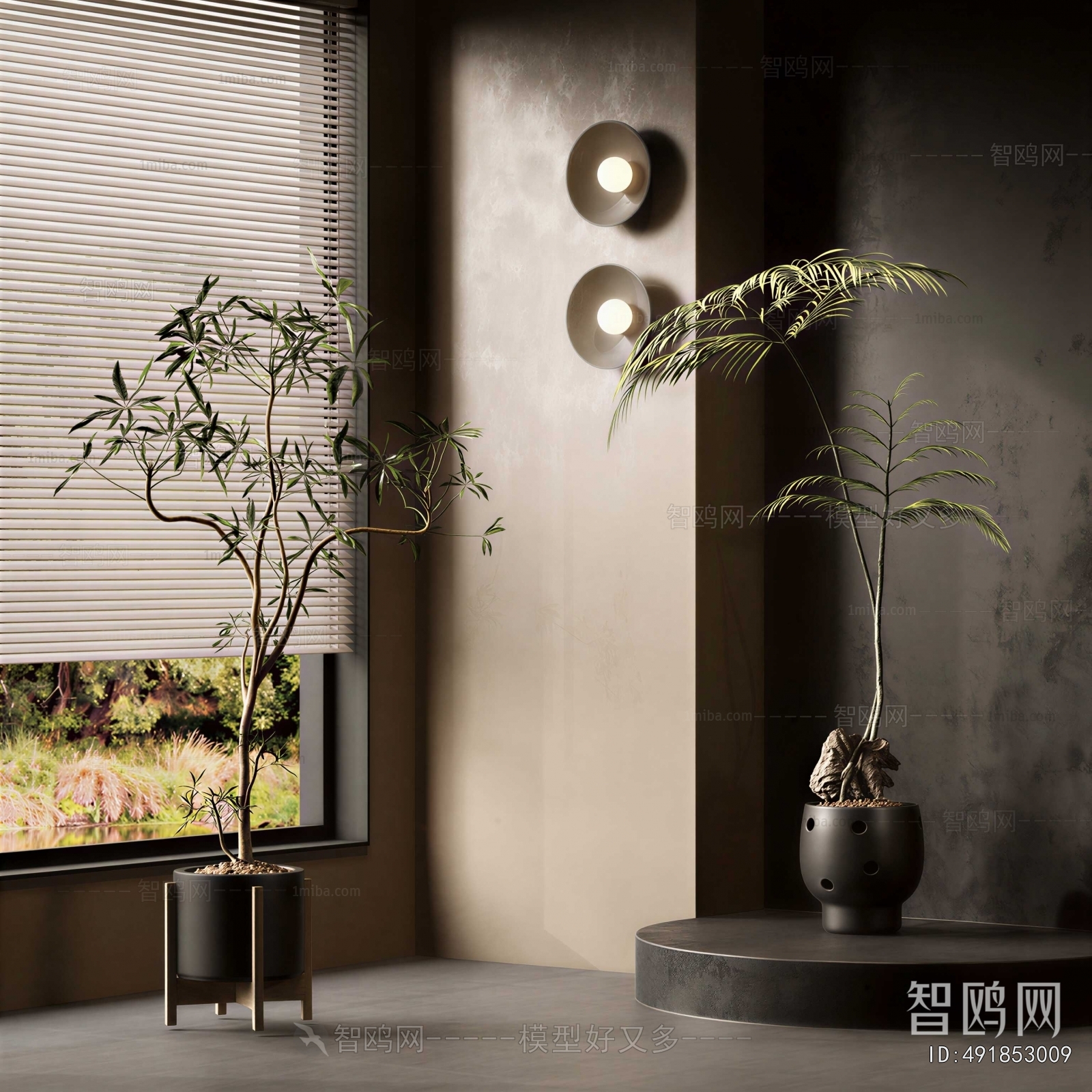 Modern Bonsai