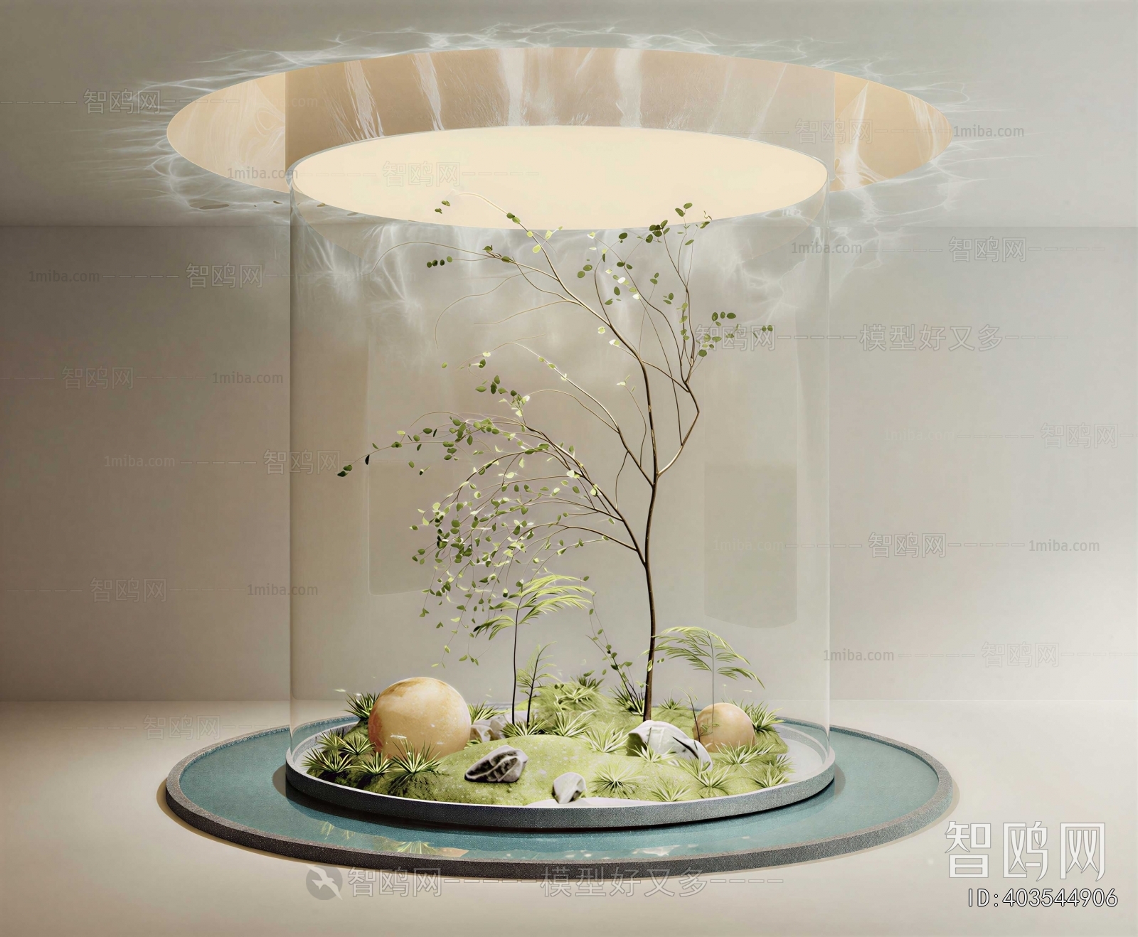 Modern Plant Landscaping