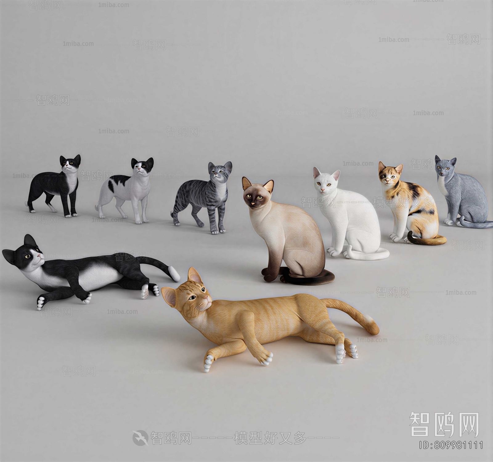 Modern Animal Cat