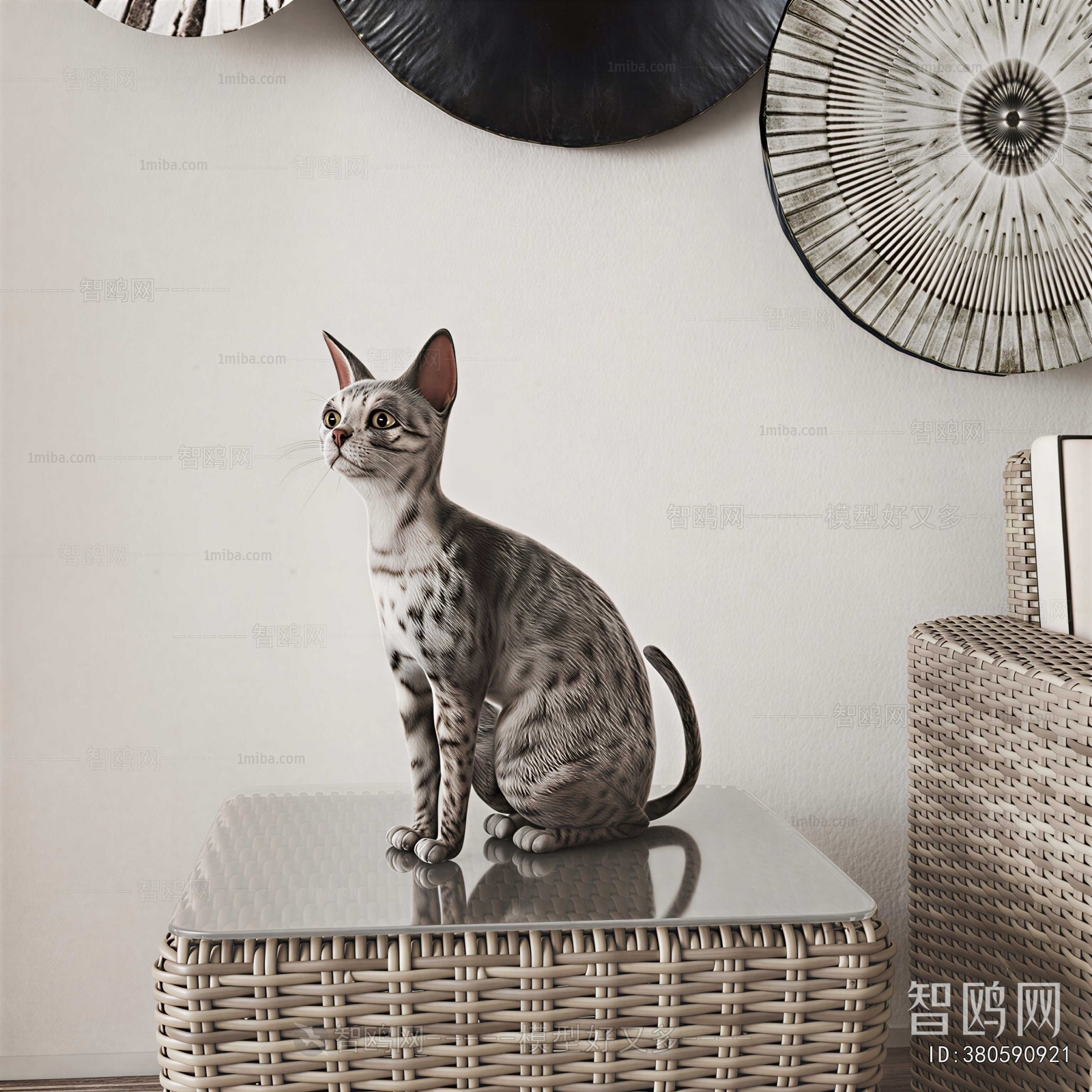 Modern Animal Cat