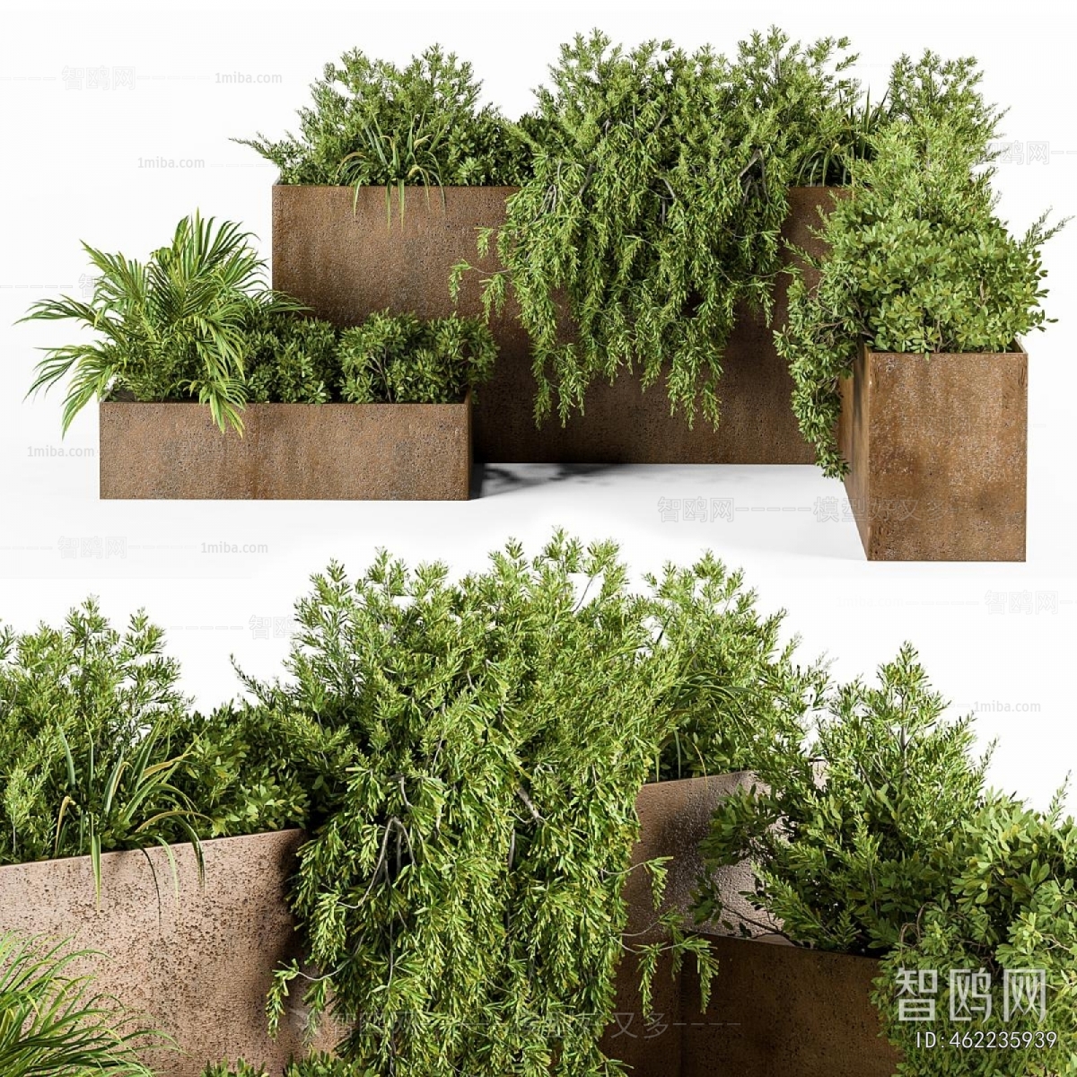 Modern Flower Bed, Flower Bowl, Flower Box