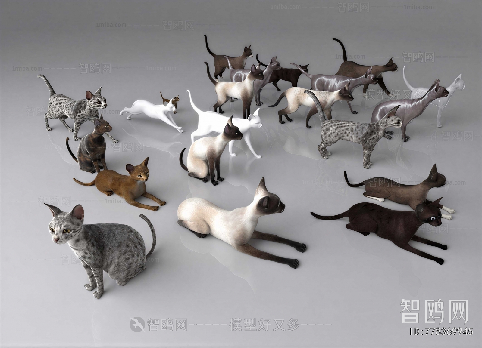 Modern Animal Cat