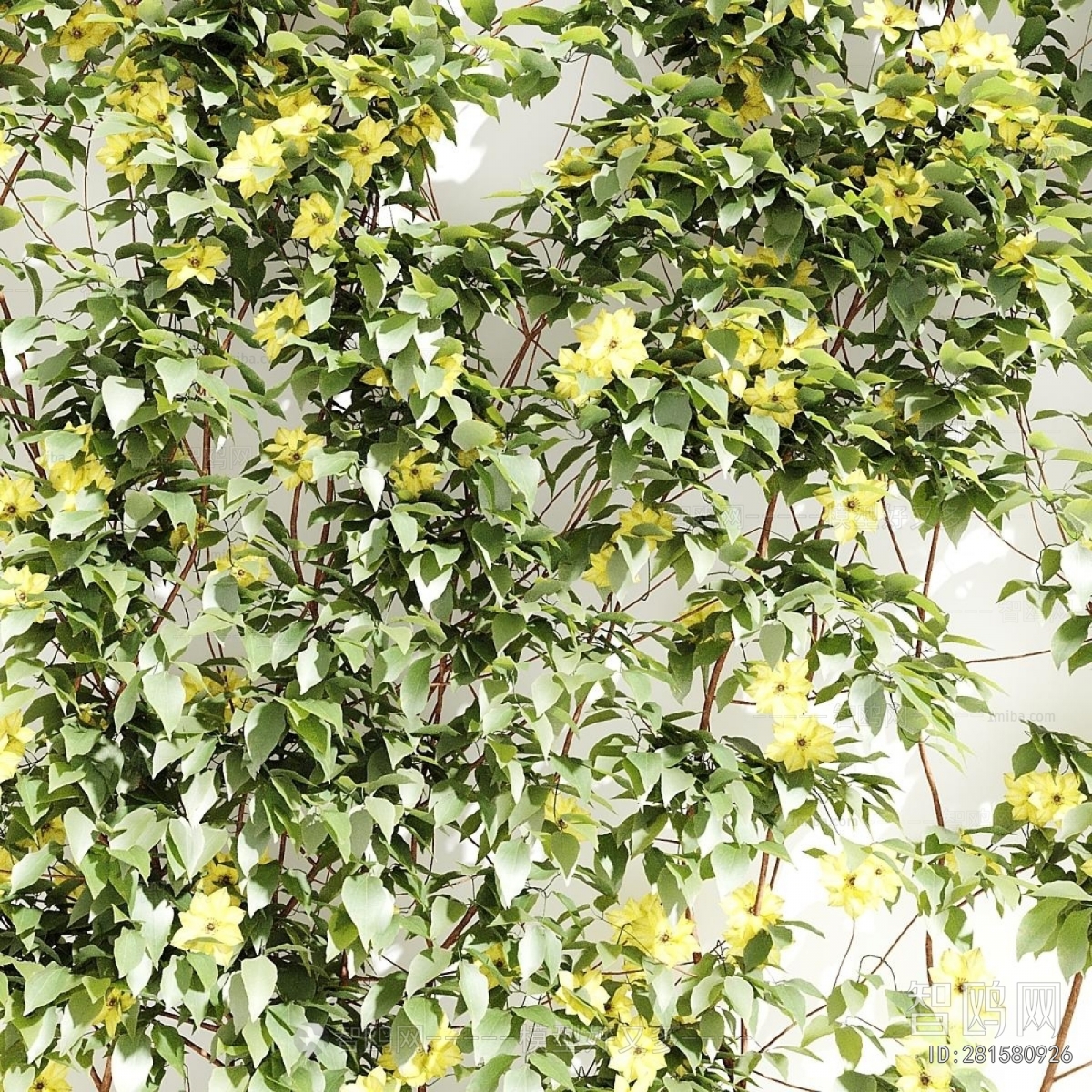 Modern Plant Wall