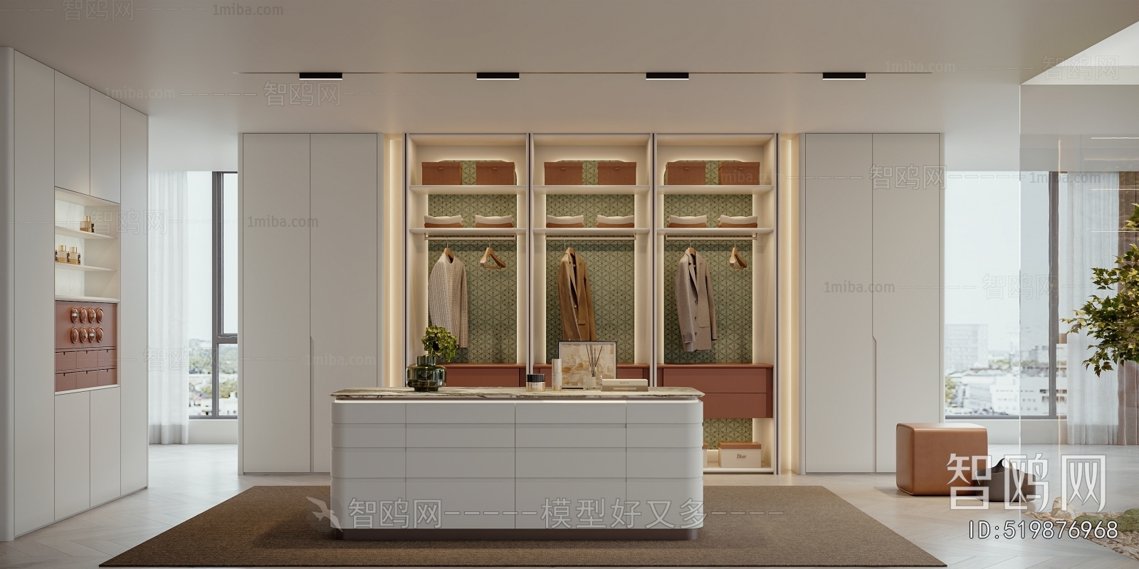 Modern Clothes Storage Area