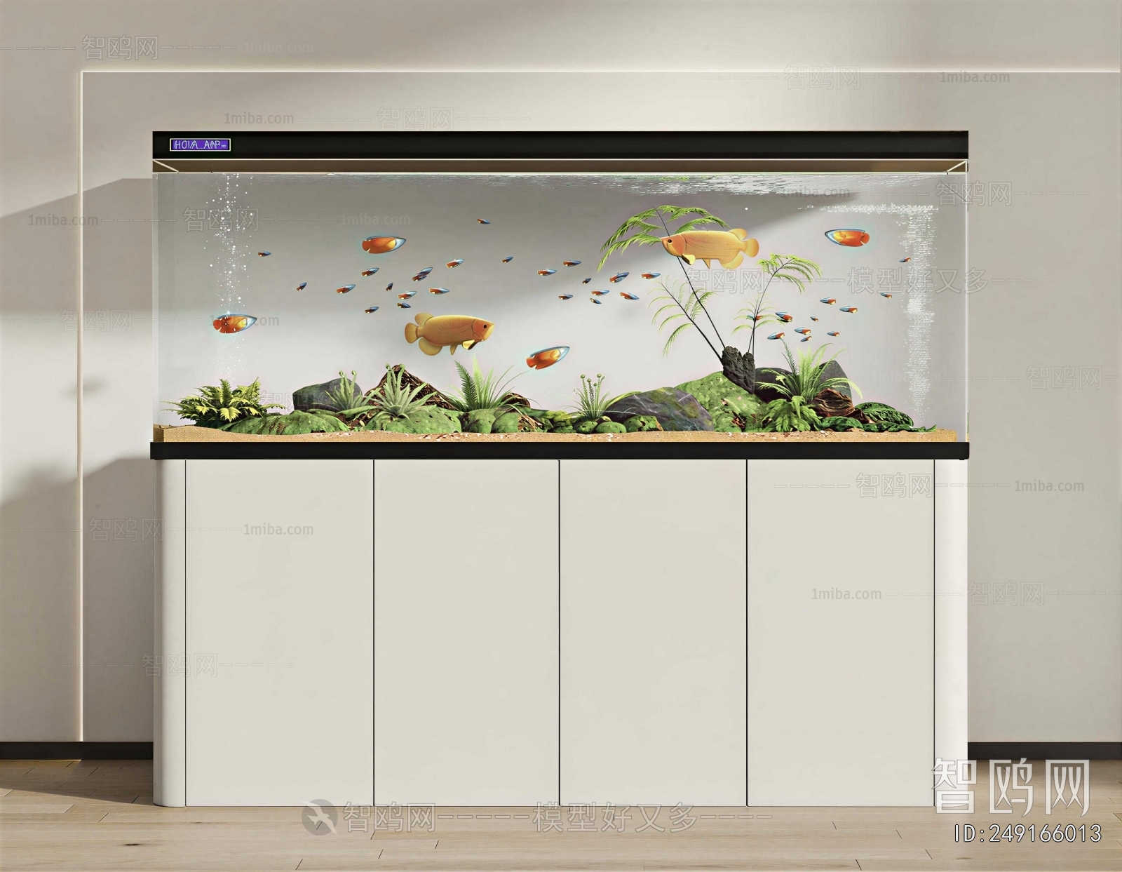 Modern Fish Tank