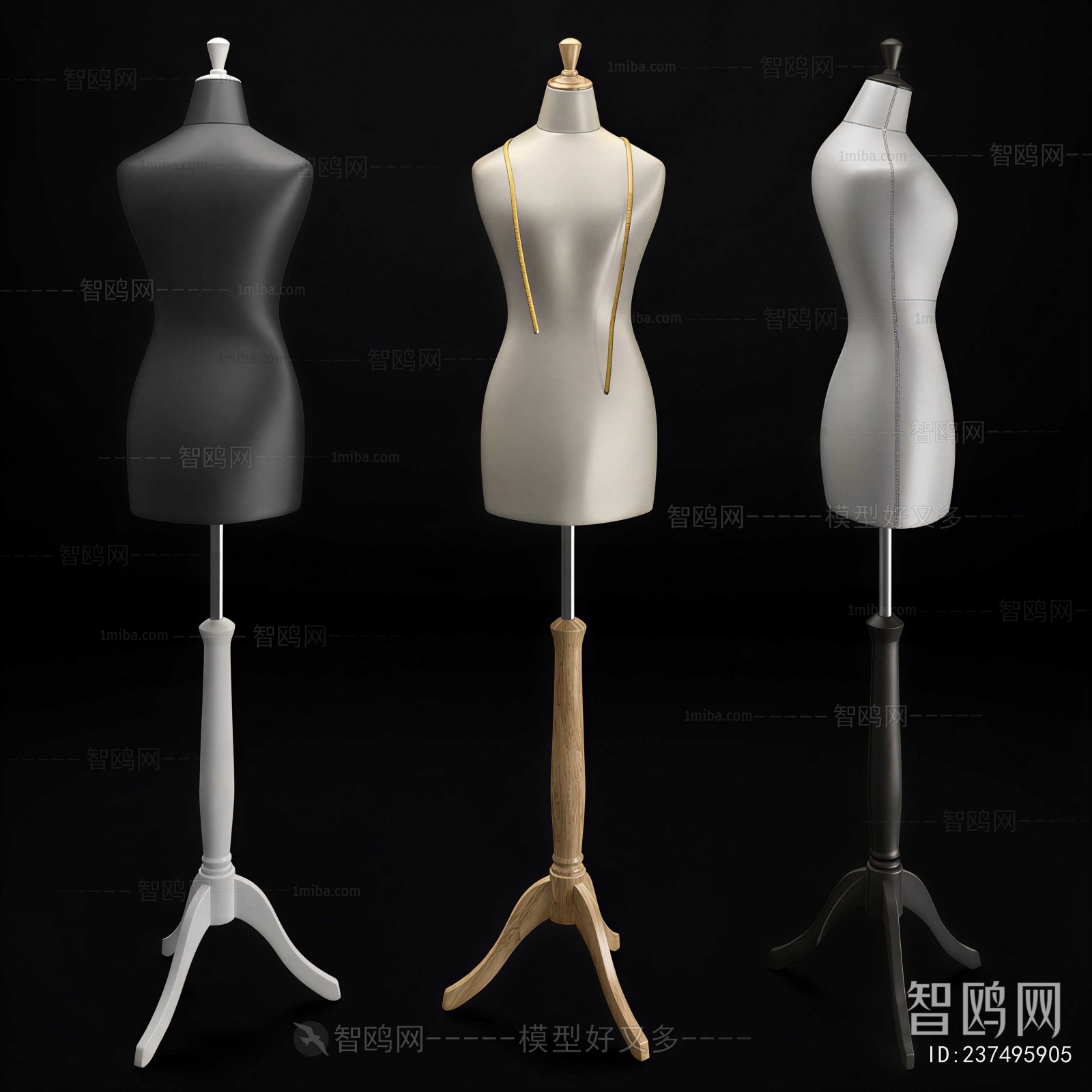 Modern Fashion Model