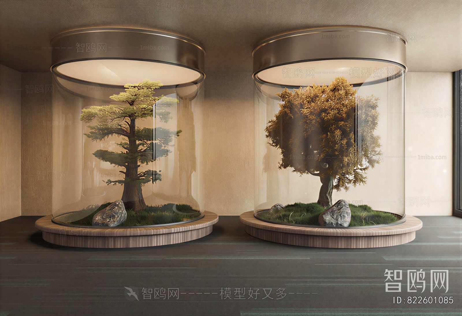 Modern Plant Landscaping