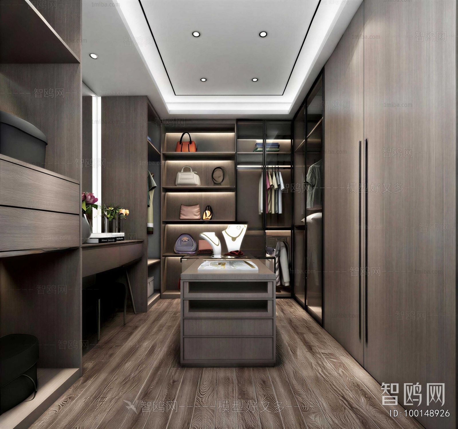 Modern Clothes Storage Area