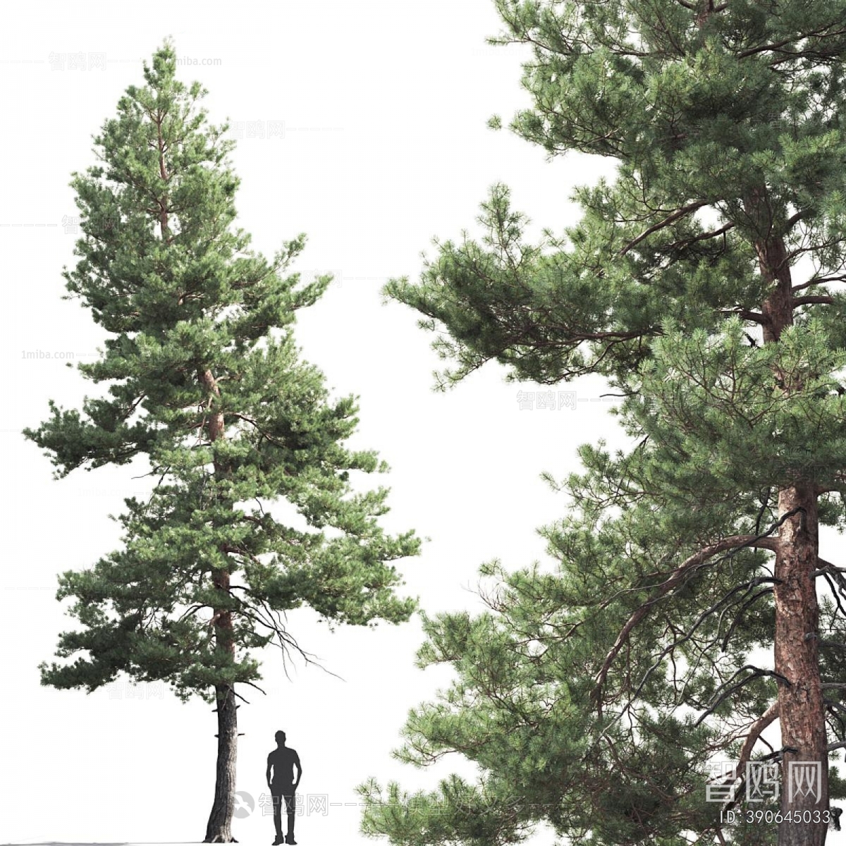 Modern Tree