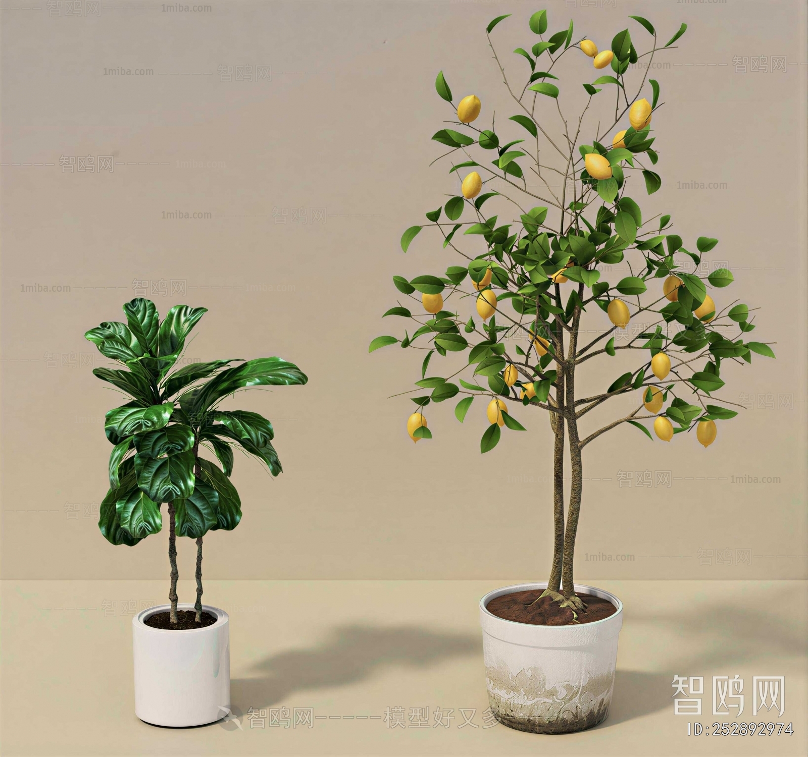 Modern Ground Green Plant Potted Plants