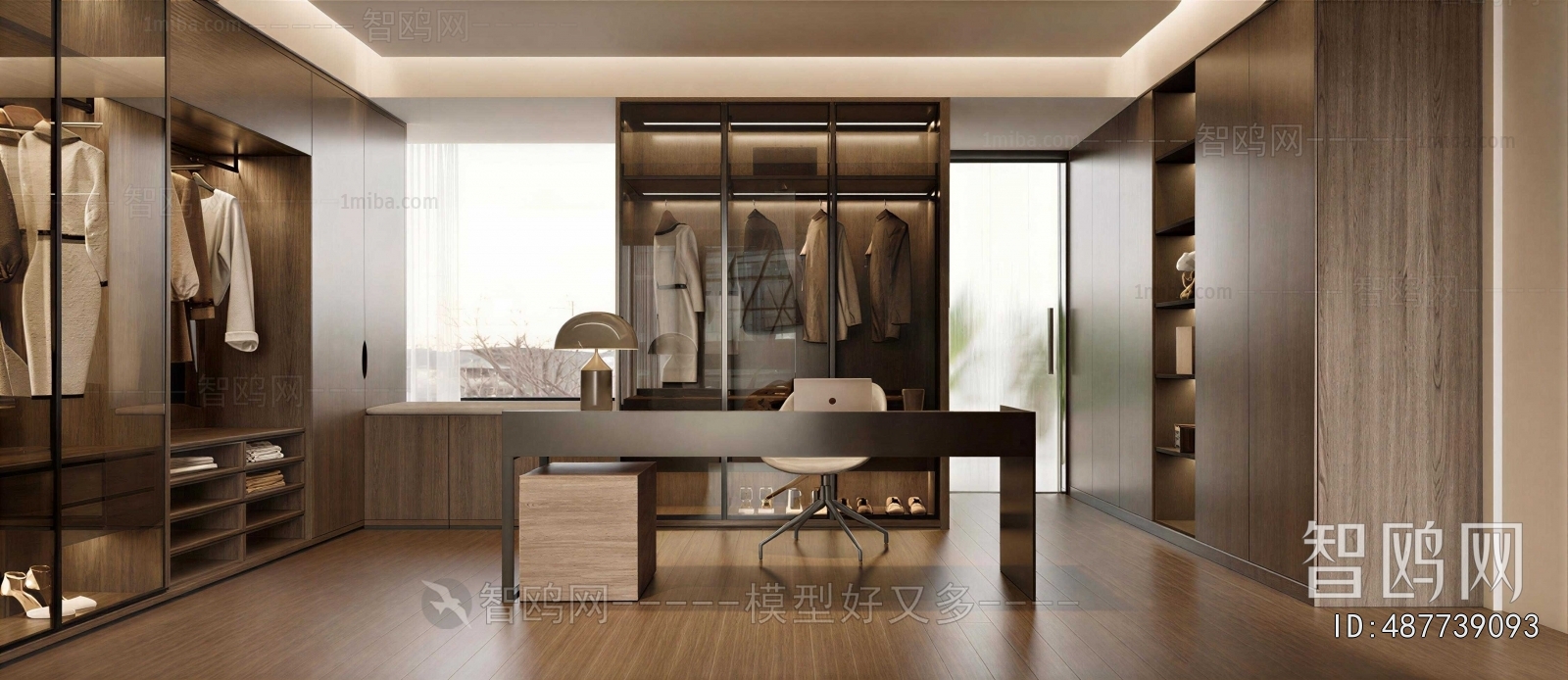 Modern Clothes Storage Area