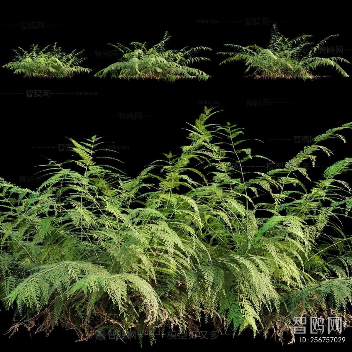 Modern The Grass