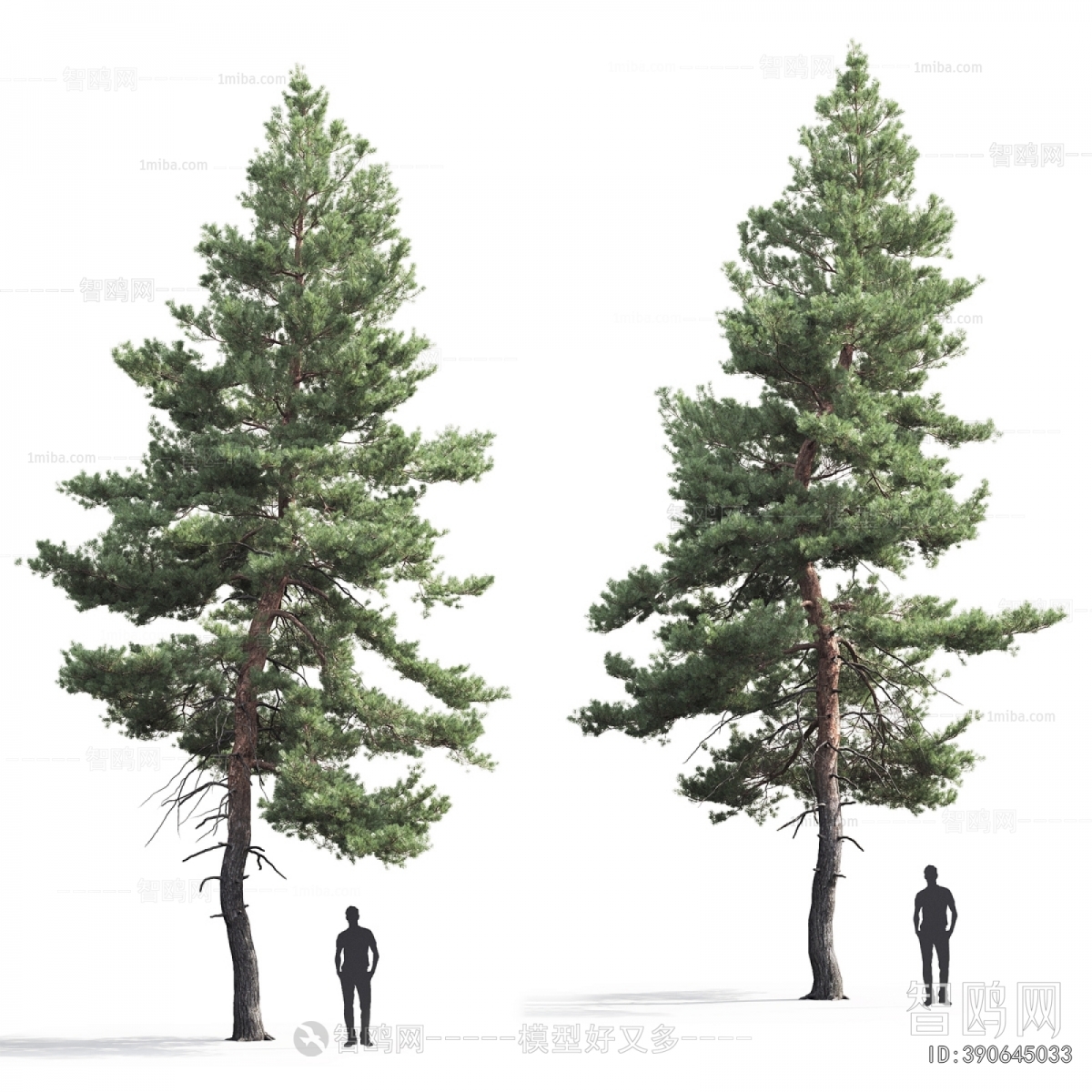 Modern Tree