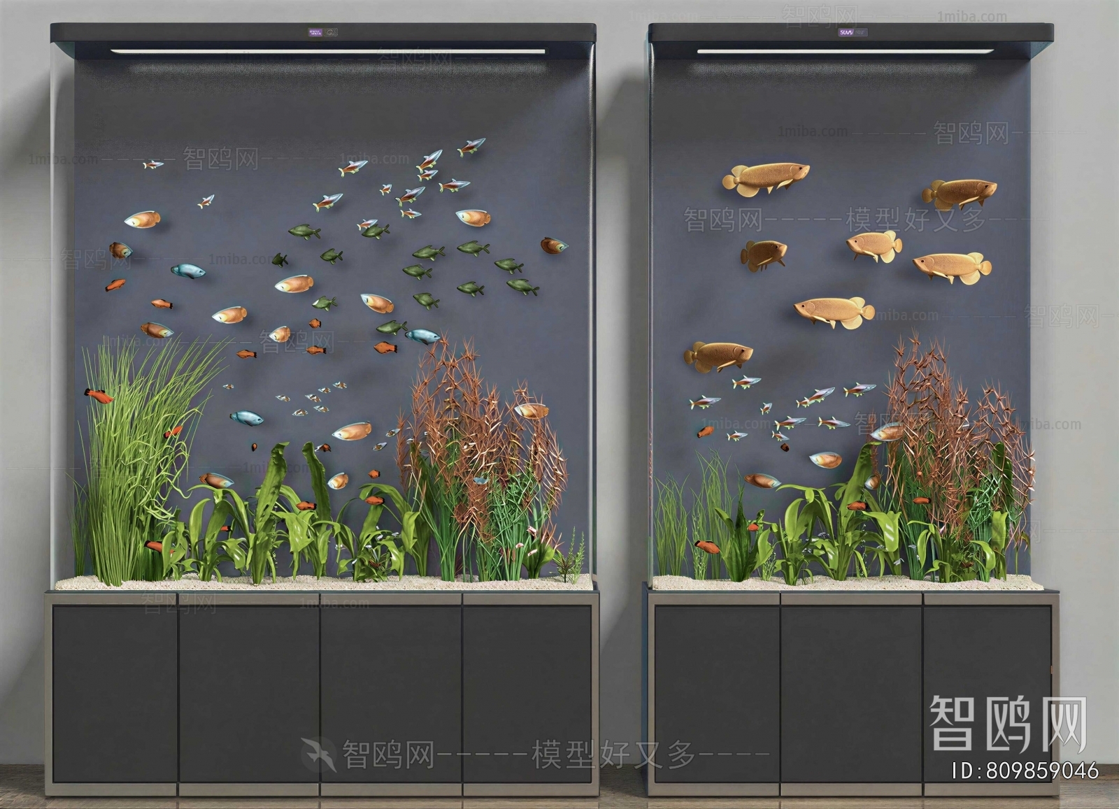 Modern Fish Tank