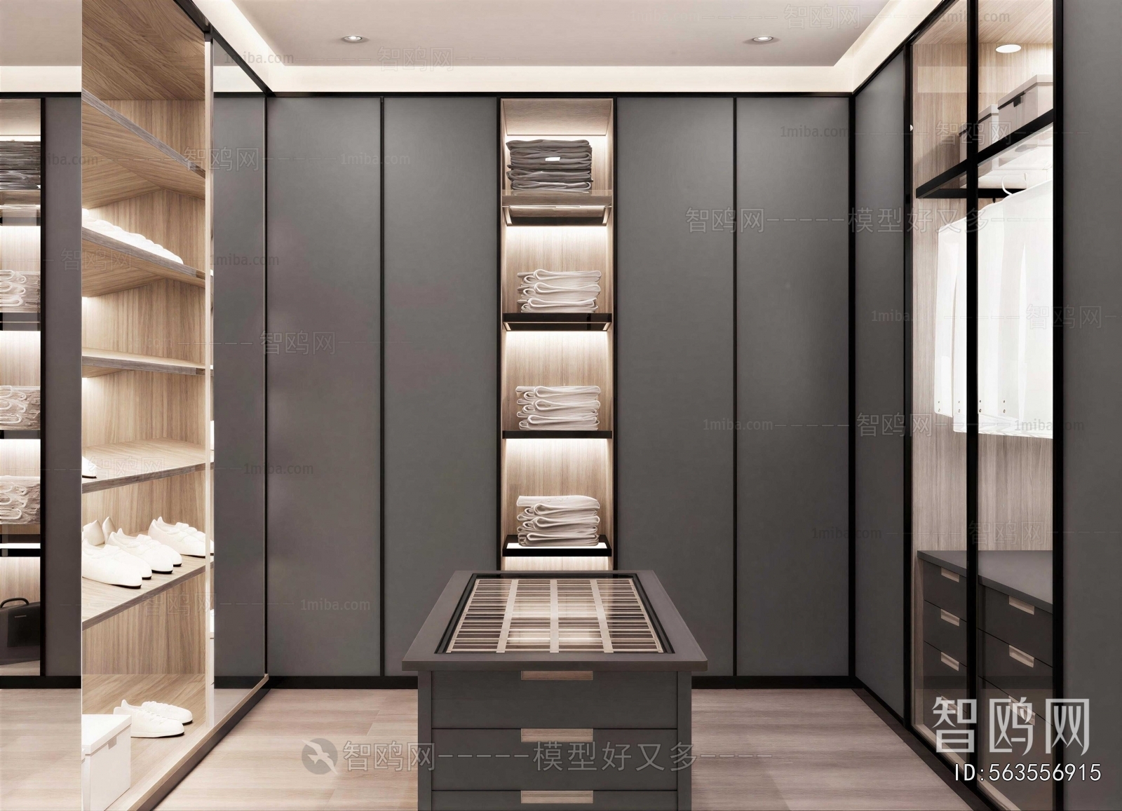 Modern Clothes Storage Area