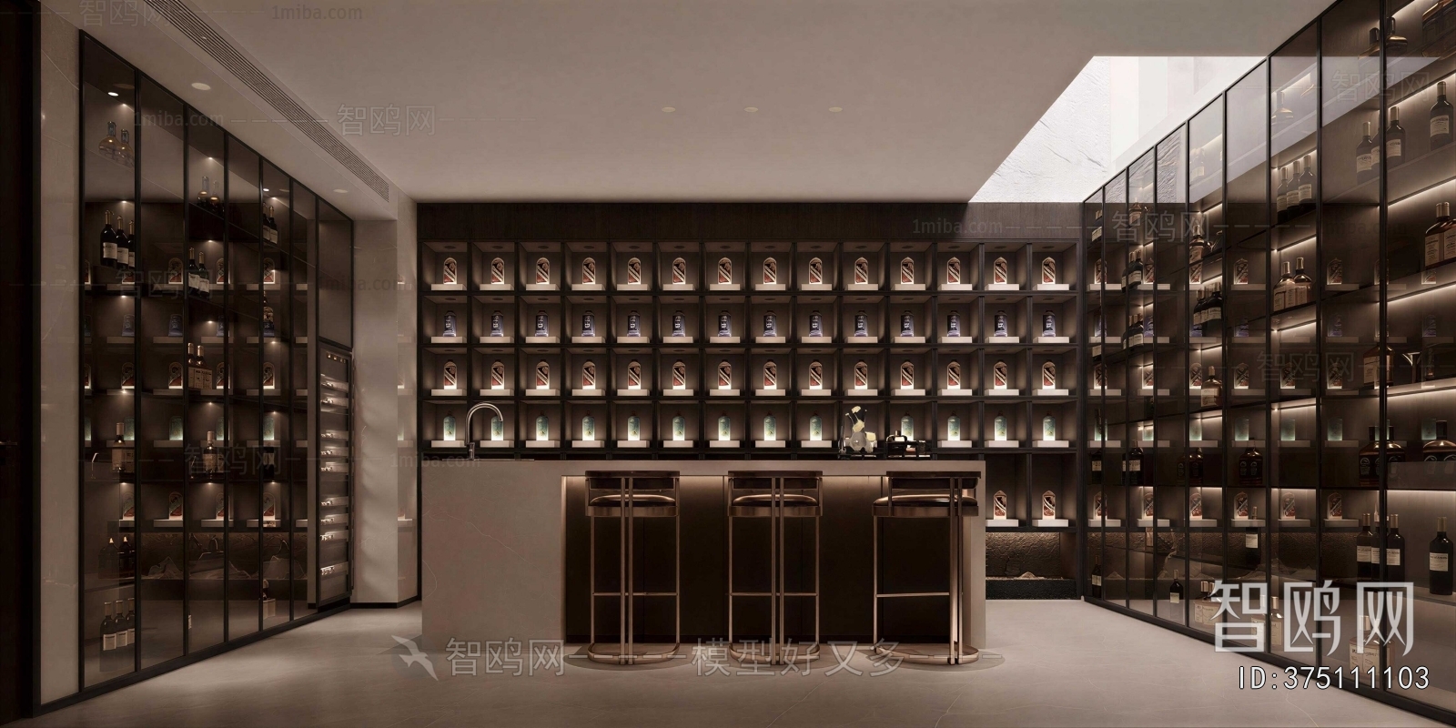 Modern Wine Cellar/Wine Tasting Room