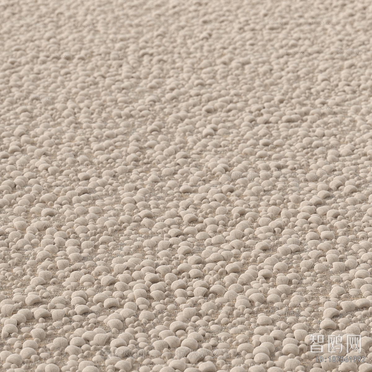 Modern The Carpet