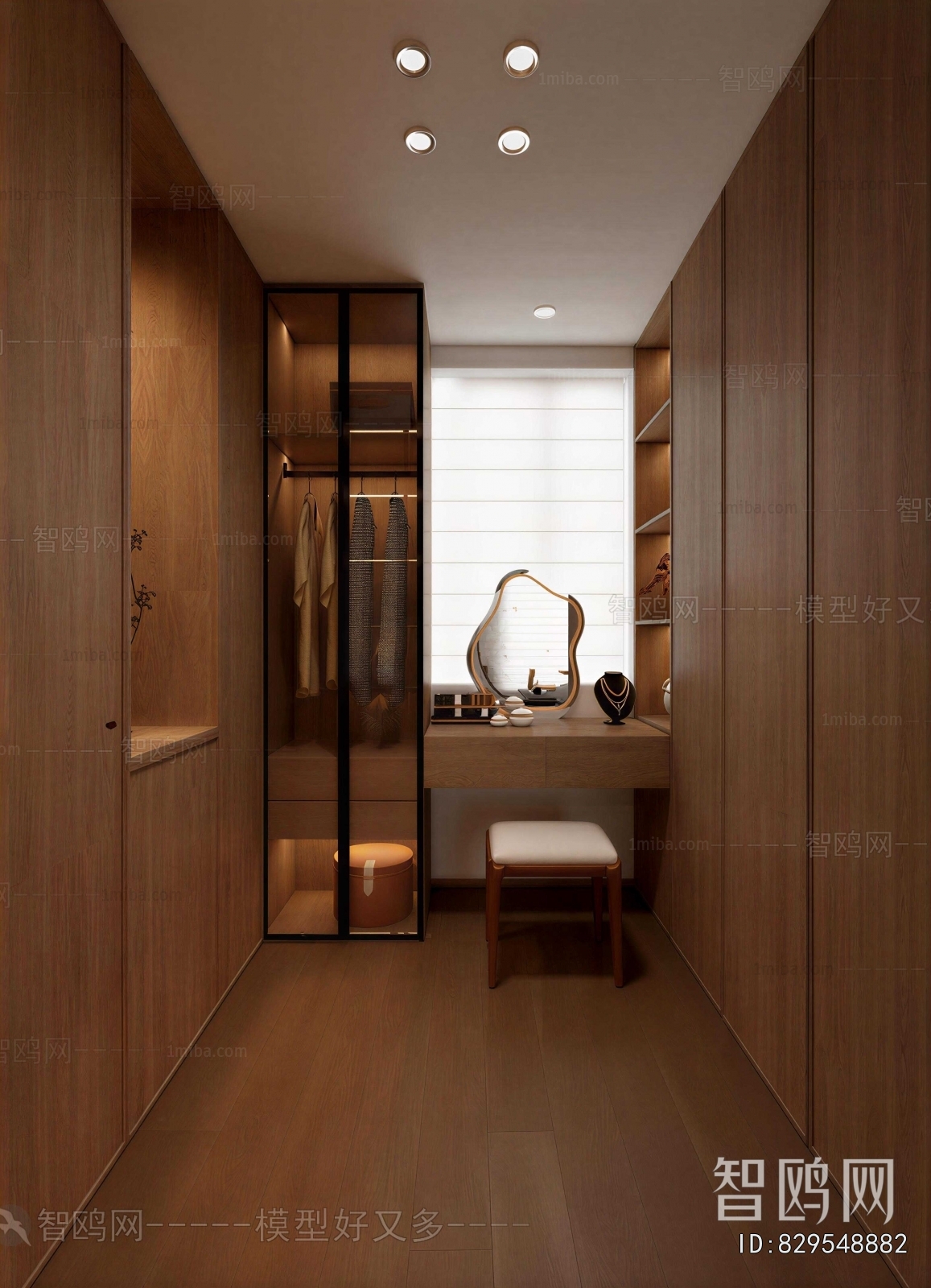 Modern Clothes Storage Area