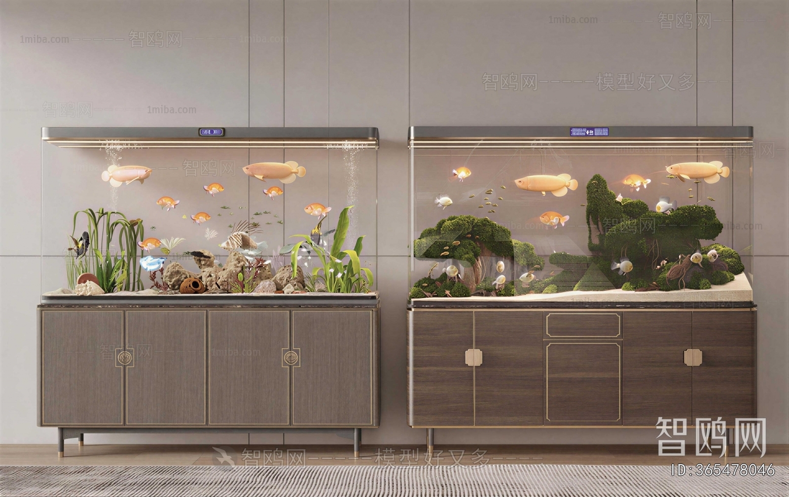 Modern Fish Tank