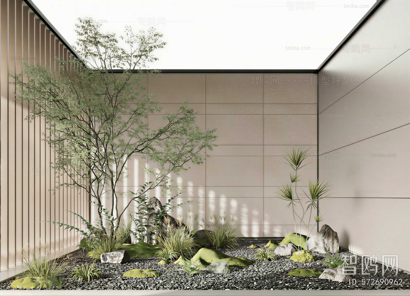 Modern Plant Landscaping