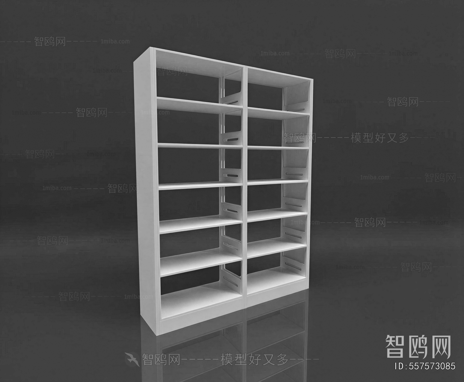 Modern Bookshelf