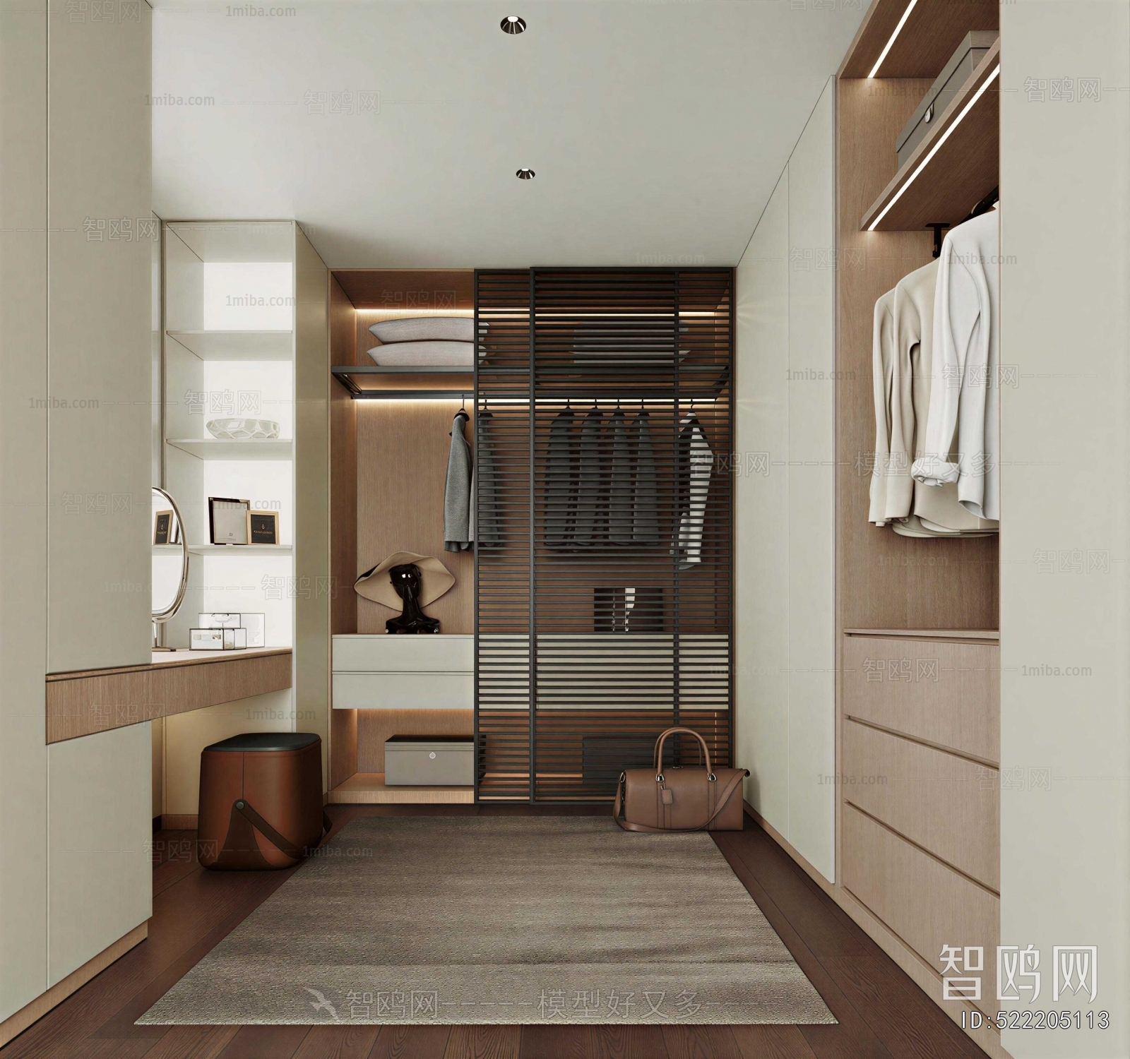 Modern Clothes Storage Area